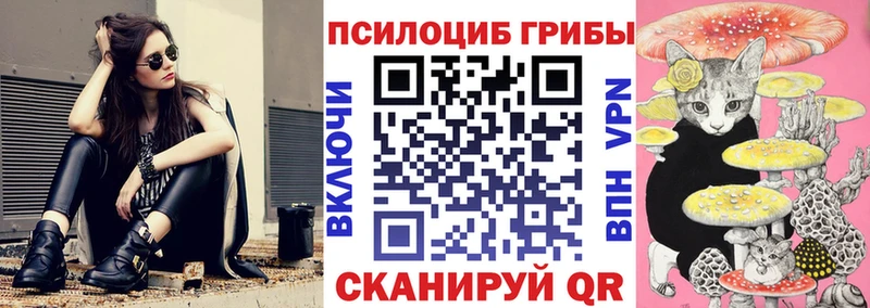 купить наркотик  Байкальск  Псилоцибиновые грибы Cubensis 